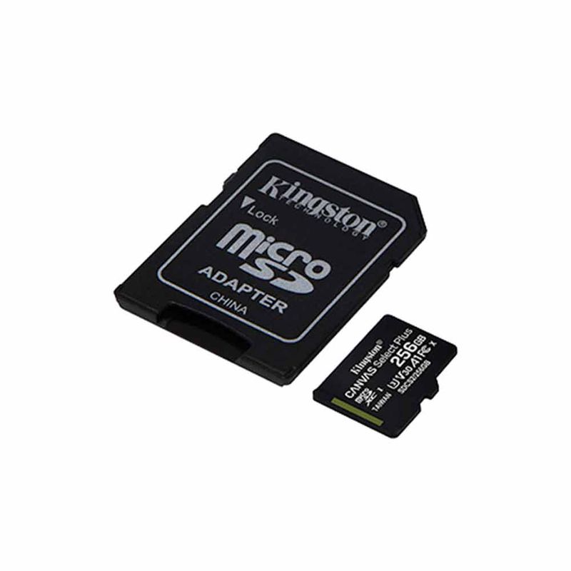 SDCS2-256GB-2.jpg