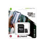 SDCS2-256GB-3.jpg