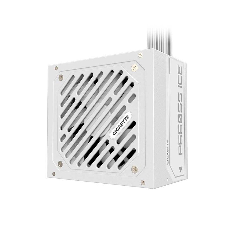 Image-GP-P550SS-ICE-1