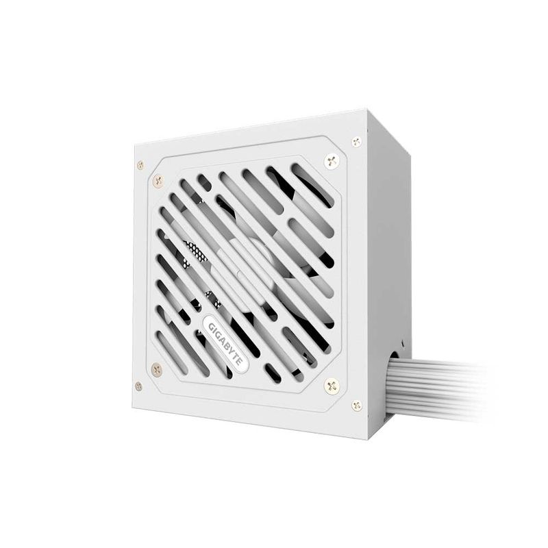 Image-GP-P550SS-ICE-2