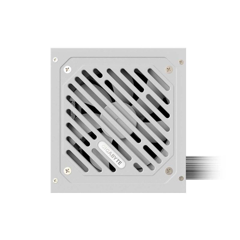 Image-GP-P550SS-ICE-3