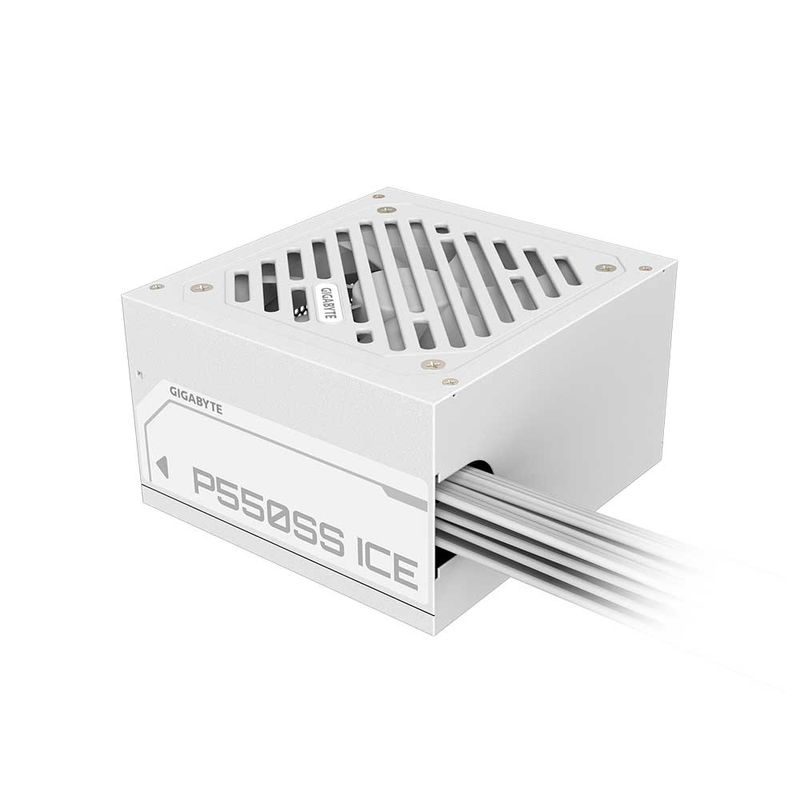 Image-GP-P550SS-ICE-4