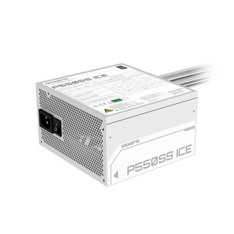Image-GP-P550SS-ICE-5