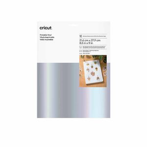 Vinilo Imprimible Cricut 21.6 Cm X 28 Cm 10 Unidades Plateadas