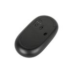 Image-AMB581GL-7